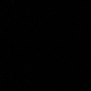 Meet your Posher, Ricky